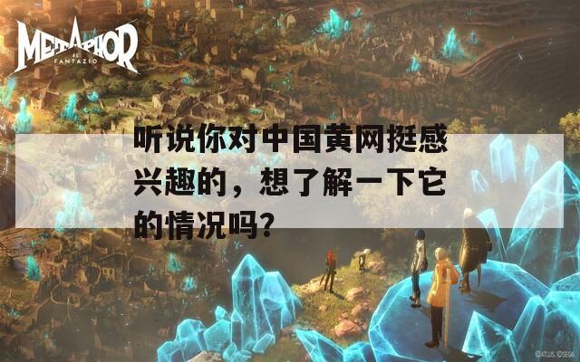 听说你对中国黄网挺感兴趣的，想了解一下它的情况吗？