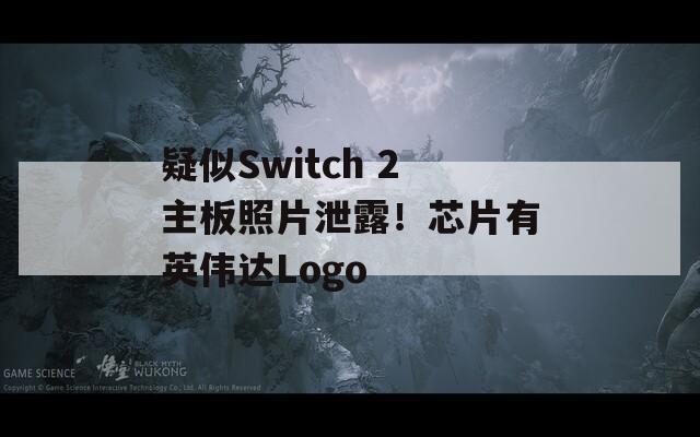 疑似Switch 2主板照片泄露！芯片有英伟达Logo