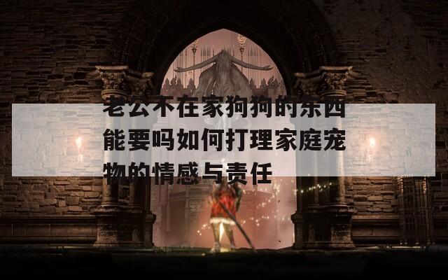 老公不在家狗狗的东西能要吗如何打理家庭宠物的情感与责任