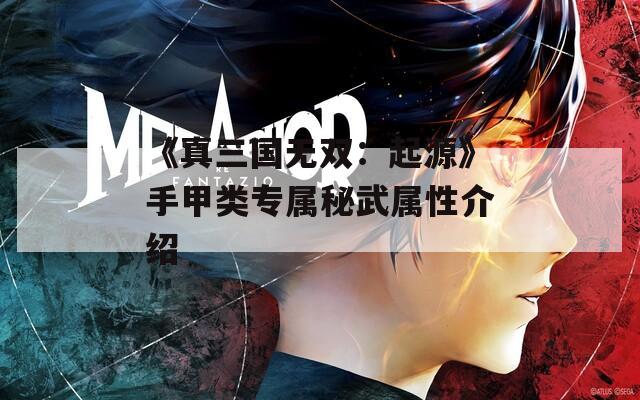 《真三国无双：起源》手甲类专属秘武属性介绍