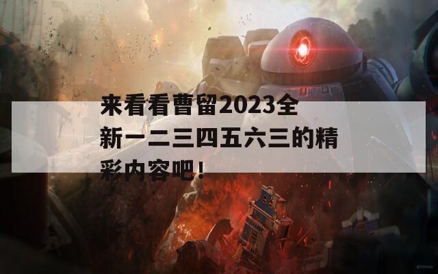 来看看曹留2023全新一二三四五六三的精彩内容吧！